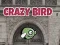 Crazy Bird