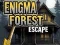 Enigma Forest Escape