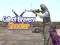 Call of Bravery Shooter
