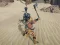 The Scythian Warrior