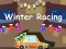 Winter Racing 2D