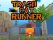Trash Cat Runner