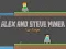 Alex and Steve Miner Two-Player