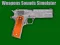 Weapons Sounds Simulator