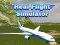 Real Flight Simulator 