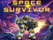 Space Survivor