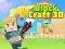 Block Craft 3d 