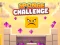 Sponge Challenge