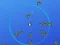 Life Circle