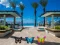 Find 100 butterflies — free online game