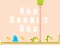 Run Rabbit Run — free online game