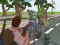 Best Battle Cover Royale 2022 — free online game
