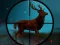 Deer Hunting Classical — free online game