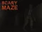 Scary Maze — free online game