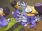 Save The Dodos — free online game