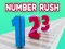 Number Rush