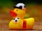 Yellow Ducks Puzzle — free online game