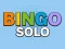 Bingo Solo — free online game