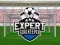 Expert Goalkeeper — free online game