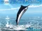 Azure Sea Fishing — free online game