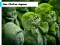 Jizo Statue Jigsaw — free online game