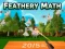 Feathery Math