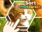 Sort Photograph – ingyenes online játék