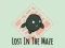 Lost In The Maze — free online game