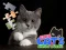 Cute Cats Jigsaw Puzzle — free online game