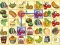 Kris Mahjong — free online game