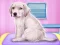 თამაში Labrador at the doctor salon     ონლაინ