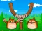 Shot The Angry Cat — free online game