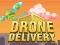 Drone Delivery  — free online game