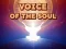 Voice Of The Soul