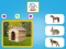 Who Lives Here — free online game