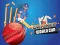 Laro Cricket World Cup Game online