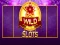 Wild Slot – kostenloses Online-Spiel