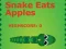 Snake Eats Apples