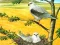 Birds Of Prey Puzzle — free online game