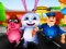 Pet Subway Surfers — free online game