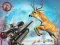 Deer Hunting Sniper Shooting — free online game