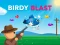 Spil Birdy Blast online