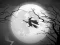 The Night Of the Witches Jigsaw — free online game
