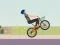 Wheelie Biker — free online game
