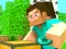 Master Craft — free online game