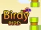 Birdy Bird  — free online game