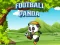 Football Panda — free online game
