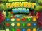 Harvest Mania  — free online game