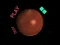 Space Car — free online game
