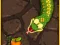Snake Attack — free online game